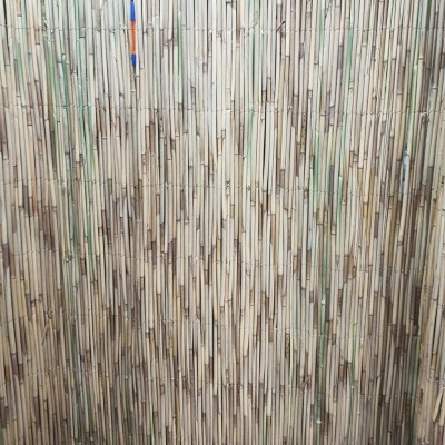 Камышовый забор рулонный 1х3м. 